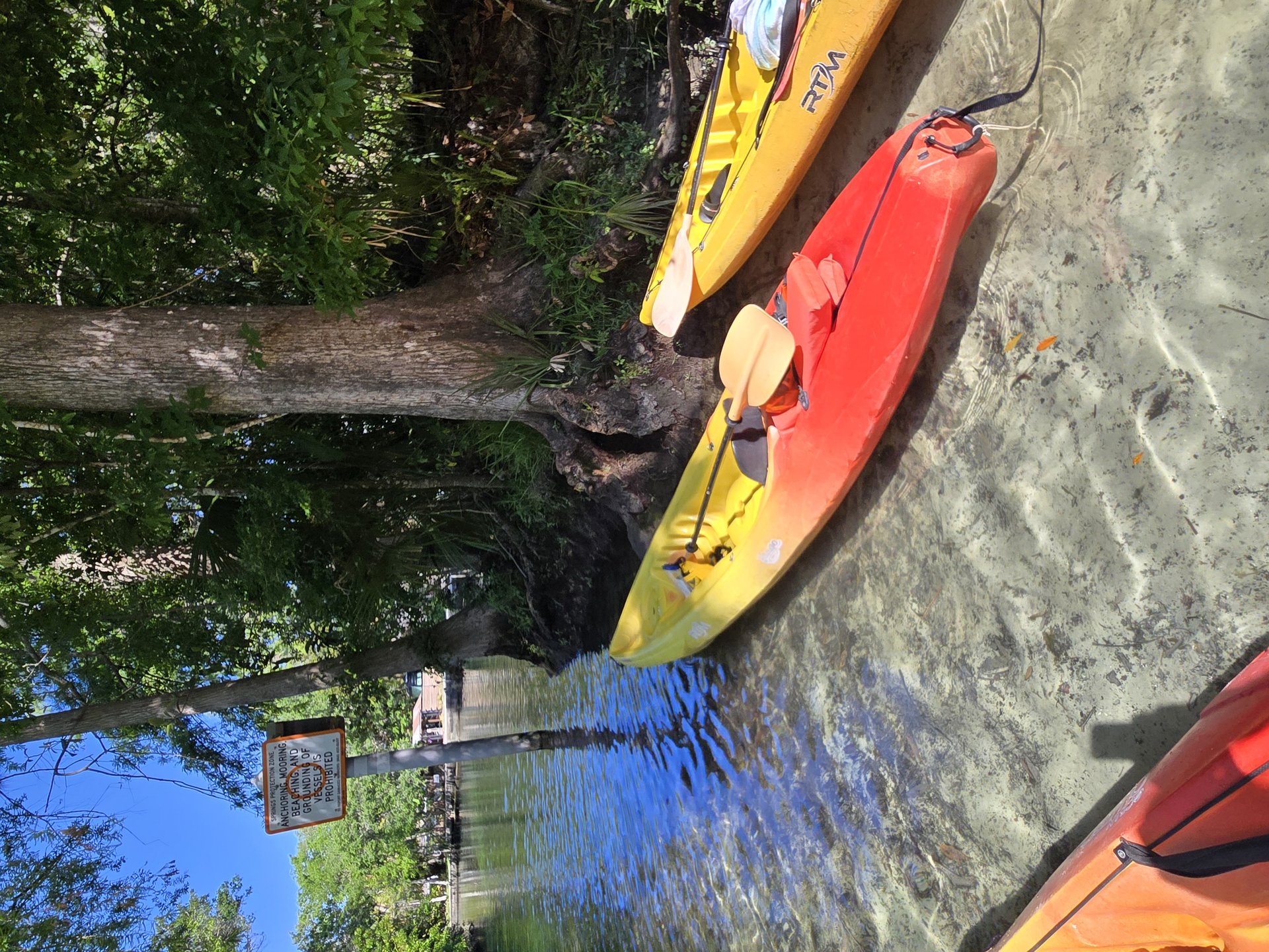 Colorful kayaks at a Florida spring launch ready for a guided paddle through crystal clear waters
