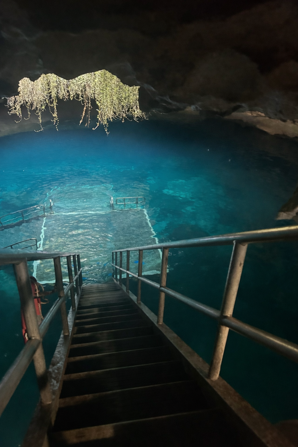 Swimming in Florida's natural springs — crystal clear 72-degree water and serene surroundings