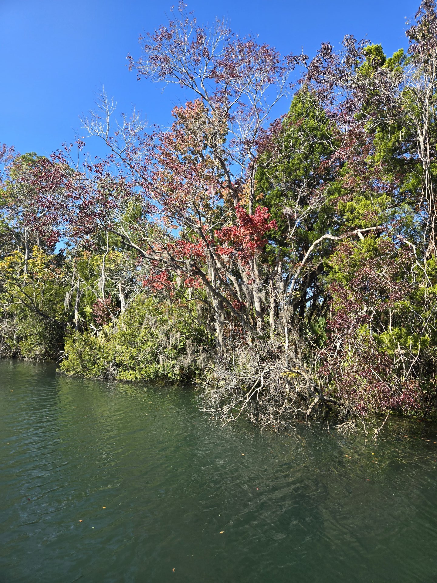 Water and woods combined — a full reset blending coastal and forest healing environments